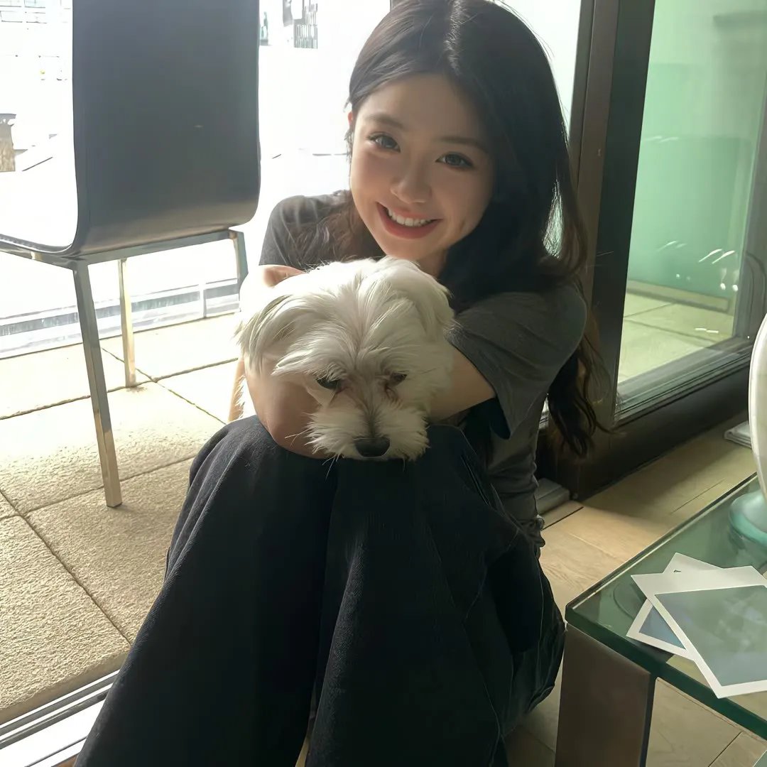 白马之子